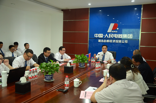 人民電器,人民電器集團,中國人民電器集團